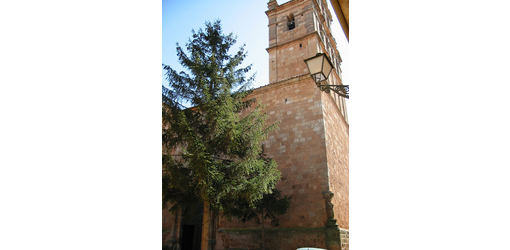Iglesia Santa María la Mayor