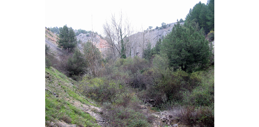 Panorámica de “La Yecla”