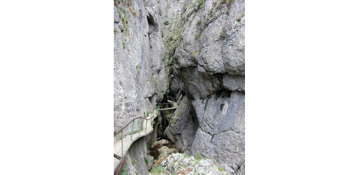 Iniciamos el recorrido por “La Yecla”